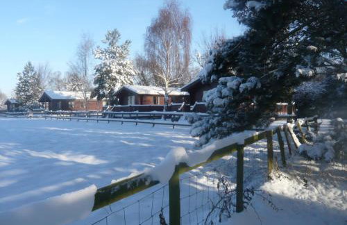 Spacious Cottage With Sauna Looking out on Astonishing Grasslands - Photo 24