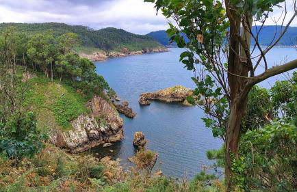 Estrella de O Vicedo - Foto 35