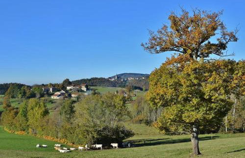 Gîte pour 14 pers à La Chabanne avec WiFi et animaux admis - Photo 3