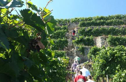 Villa in Seenahe Badesee Ehmetsklinge - Foto 45