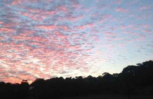 The Little cow shed - Foto 32