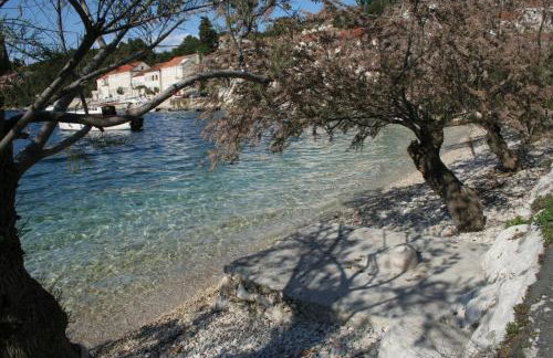 Studio Racisce 4341c - Foto 6