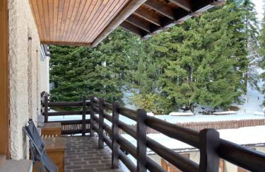 NIGRITELLA - Foto 19