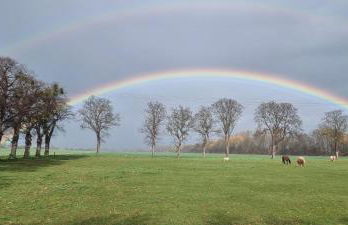 Ferienhaus Q1, Ruhe und Erholung in der Eifel - Foto 42