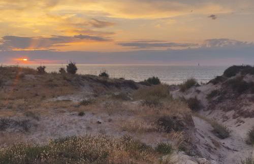 Domaine construction bois sur pilotis dans une chênaie proche océan - Foto 14