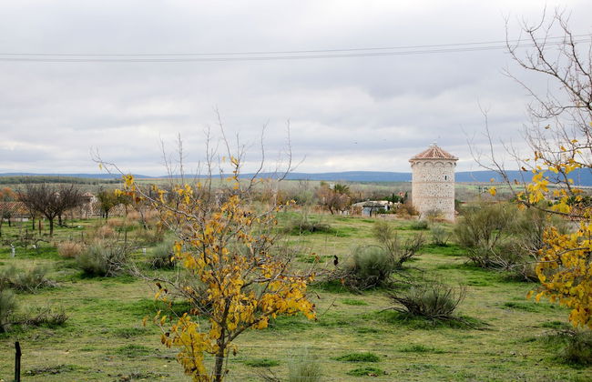 Complejo Rural Puente Romano - Foto 39