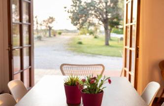 Gli Ulivi di Gino - Foto 13