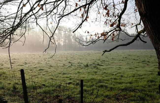 Scherpenheuvel Garden Home - Photo 33