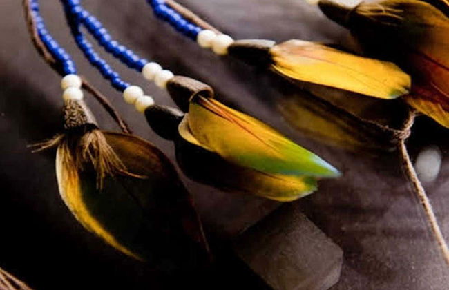 Tour por la ensenada del Amorim - Foto 2