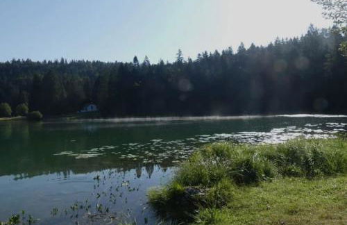 Studio avec belle vue proche du lac Genin Echallon - Photo 22