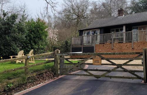 Little Patch - Foto 40