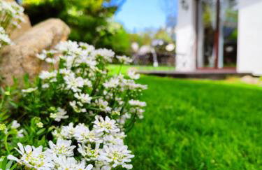 Zacisze Pod Śmielcem - Foto 80