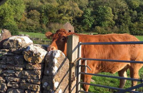 Wilf's Barn, romantic cottage with free parking - Foto 32