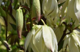 LA CASA DI CHIANNI La Pieve - Foto 41