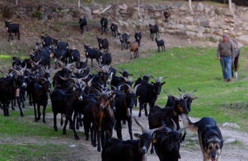 Abejas 2 de El Vergel de Chilla - Photo 29