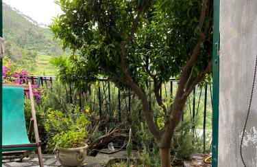 Cottage La Terrazza - Foto 42