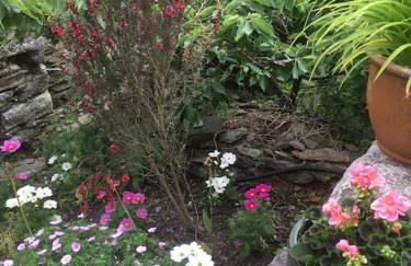 Chain House - Historic and Gorgeous, Spacious and Private - Foto 32