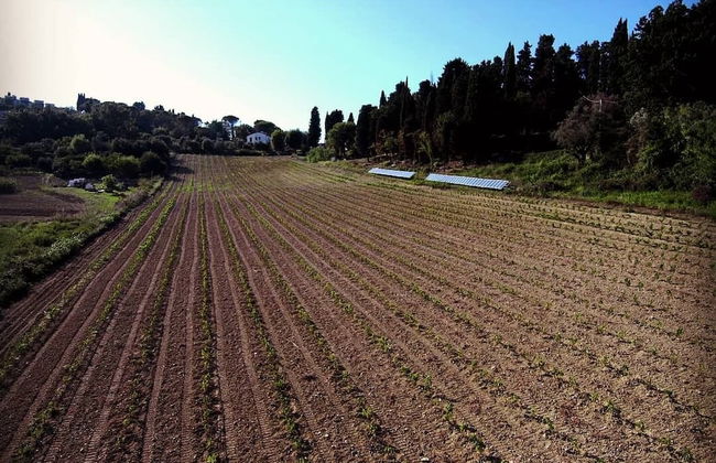 Agriturismo Campo al Sole - Foto 11