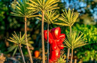 Casa Lusitania 19 - Foto 16