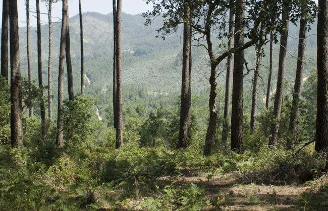Visite du Parc Naturel Sintra-Cascais à vélo - Photo 3