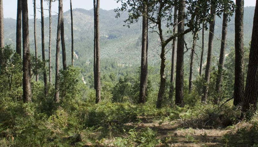 Visite du Parc Naturel Sintra-Cascais à vélo