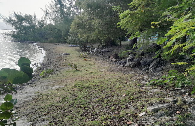 PARADISE CREEK COTTAGES - Foto 23