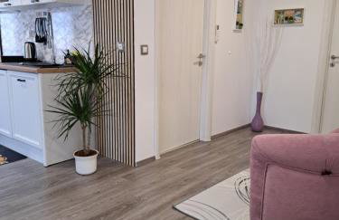 Apartmani Habibi - Foto 58