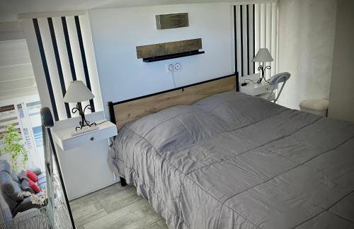 Naturiste Heliovillage Villa de Standing - Foto 11