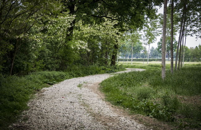 Agriturismo Relais Tenuta il Cigno - Foto 52