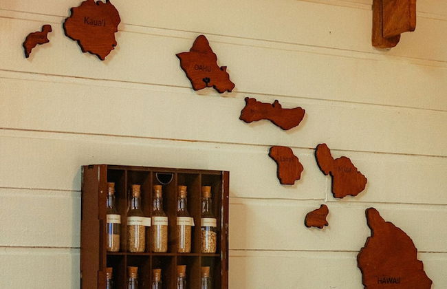 Surfway Ilha do Mel - Photo 36