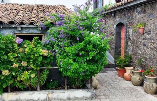 Casa Leopina Apri gli occhi e vola oltre il mare - Foto 12