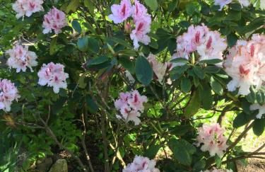 Steinhaus Hof - Foto 9