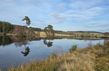 Mike's 3-bedroom Countryside Cottage - Foto 41