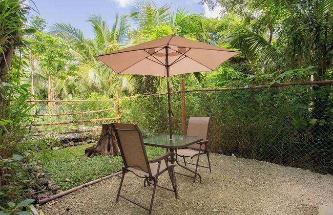 Mini Pini Birdwatching and Cenote Loft4 you Only - Foto 56