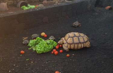 Villa Tejeguate - Foto 38