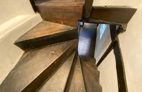 Dairy Farm - Foto 23