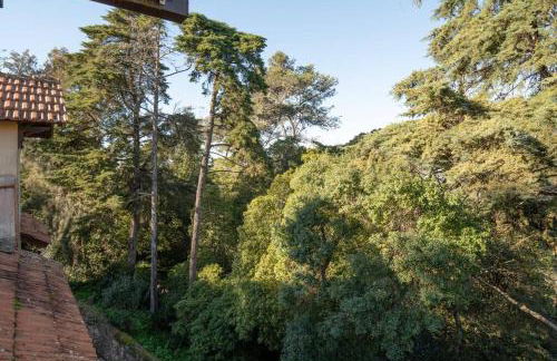 Libest Sintra - Casa do Palácio - Foto 55