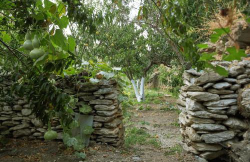 Venetian Watermill in Kea - Photo 17