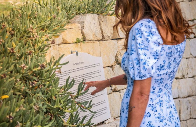 Tenuta Olive Alive - Foto 72