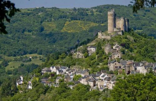 Appart T2 Village vacance 3 étoiles St Geniez d'Olt 2 piscines chauffées 75 - Photo 13