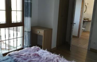 Pico San Carlos ll - Photo 16