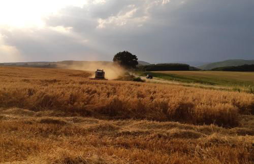 Am Hohestein - Foto 19