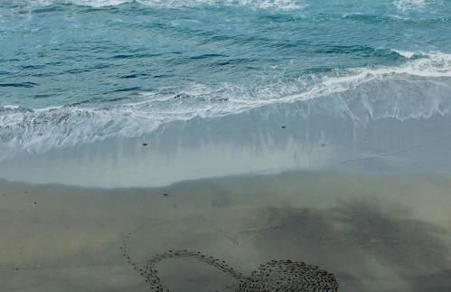 Hacienda El Socorro - Foto 46