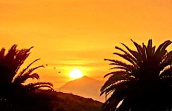 Finca La Principal - Foto 121