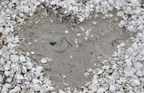 Below Comfortable holiday residence - Foto 35