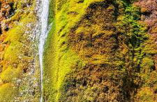 Eifel Panoramablick - Foto 19