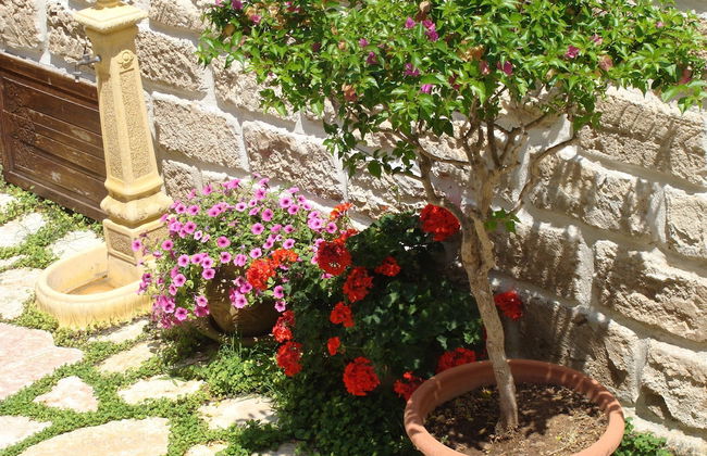 Guest House Al Gattopardo - Photo 45