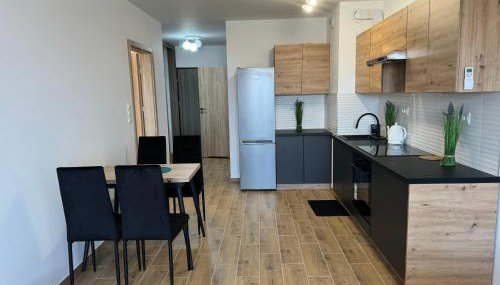 Apartament Dolina Baryczy - Foto 4