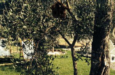 Casa vacanze gli ulivi - Foto 30