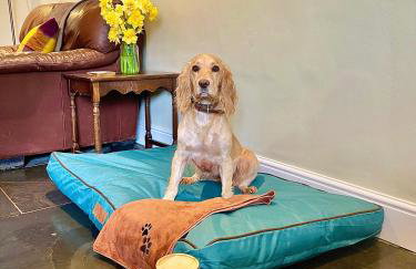 Slowley Farm - Photo 58